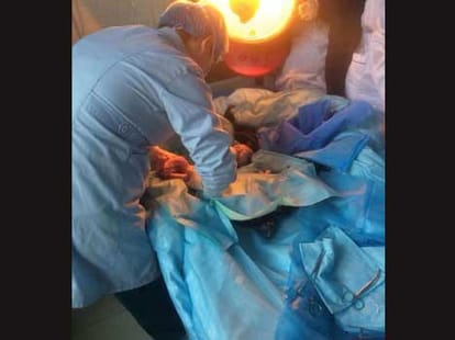thailand ban surrogacy mother
