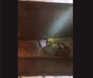 Murder of two year old girl in gurgaon