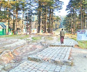 No snow falling slowdown in Patnitop