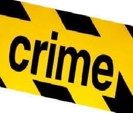 Two gang members arrested