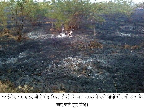 the forest fires in Santhri