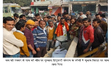 Indignation by throwing dead cow in Junkyard