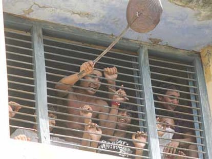 disturbance in juvenile jail.