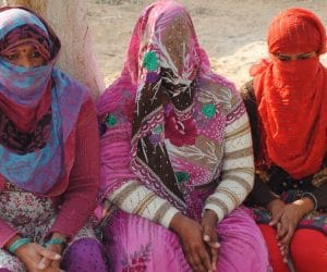 secret of sadhvi marriage will open after polygraph test