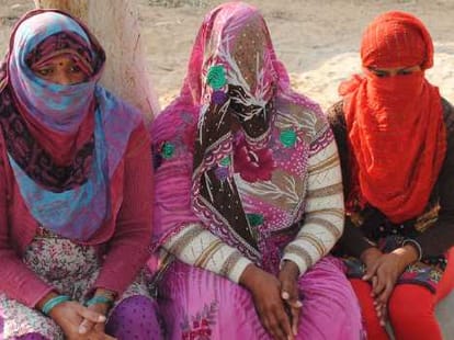 sadhvi got homosexual marriage, inside truth