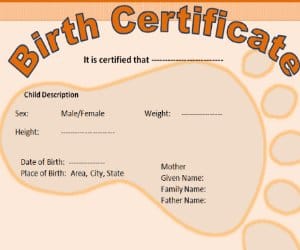 death and birth certificate in 7 days in haryana