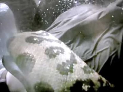 man gets into anaconda live 