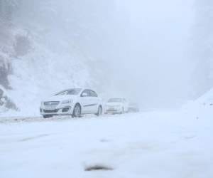 rainfall in shimla, snowfall at rohtang.