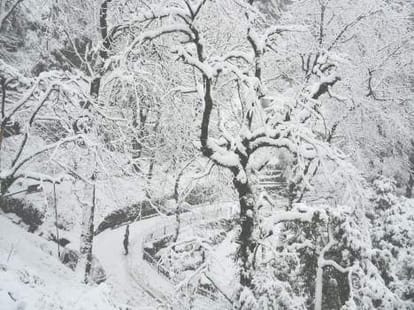 tourist died due to heart attack in shimla during snowfall.