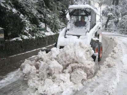 Snowfall, rain brighten prospects of bumper apple, rabi crops in Himachal.