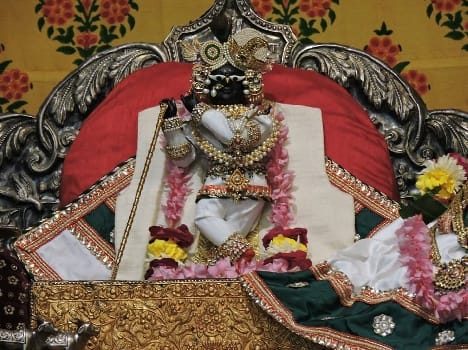 sheetnikung seva mahotsav in radharaman temple