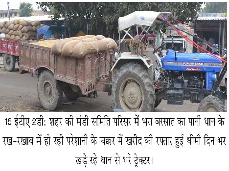 Desperate farmers in rice prices
