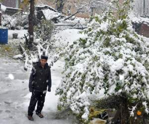Snowfall, rain brighten prospects of bumper apple, rabi crops in Himachal.