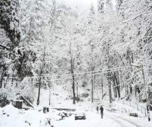 heavy snowfall in uttarakhand.