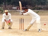 cricket