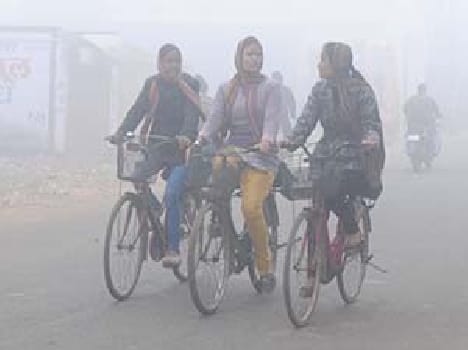 Three killed in cold fury