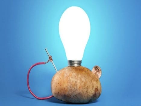 led lighting to potato