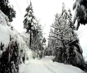 woman missing in snowfall.