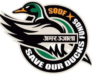 amar ujala save duck campaign at sukhna lake chandigarh