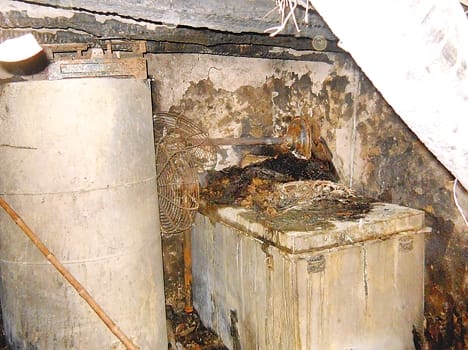 women died due to fire
