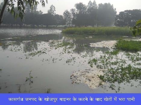 Minor Khojpur cuts submerged hundreds of acres of crop