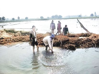 Canal water is big issue for punjab in loksabha election