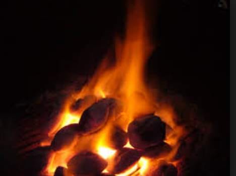 death of two workers of coal gas at himachal.