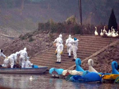 Chandigarh Sukhna Lake Safe from Bird Flu, will be Open Soon