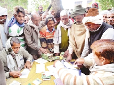 Executed in the district of fertilizer , 625 MT urea come