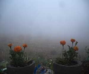 weather