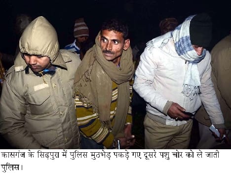 Stack a cattle thief in a police encounter , two arrested