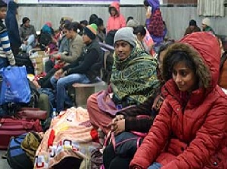 Five more deaths from cold