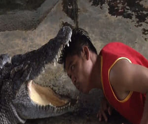 zoo workers heads inside crocodile