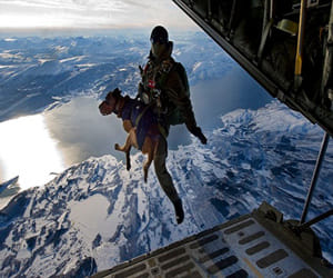 parachute jumping with dogs new to spanish military