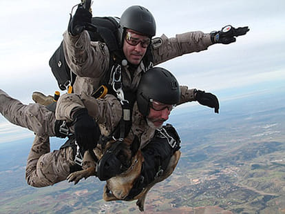 parachute jumping with dogs new to spanish military