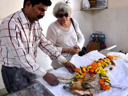 Dog injured in 26/11 attack died; Bullet was in his body for 6 years