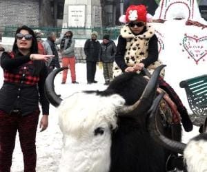 special package for tourist in shimla and manali. 