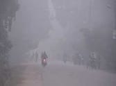 Four killed in cold injury