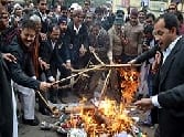 The lawyers were sitting on fast magnanimous tribute