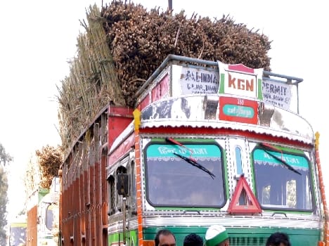 team caught sugercane truck