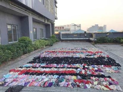 Underwear thief is caught with 2000 sets of lingerie