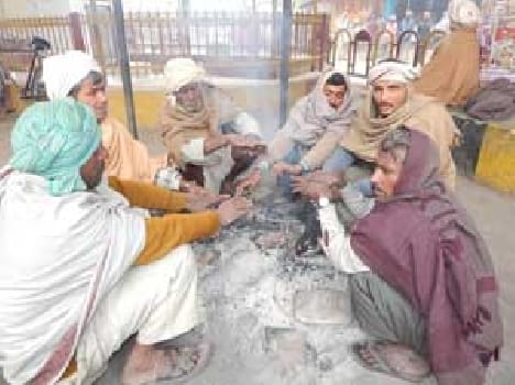 increase cold, two died
