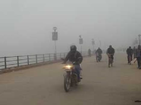 Eight people were killed to cold