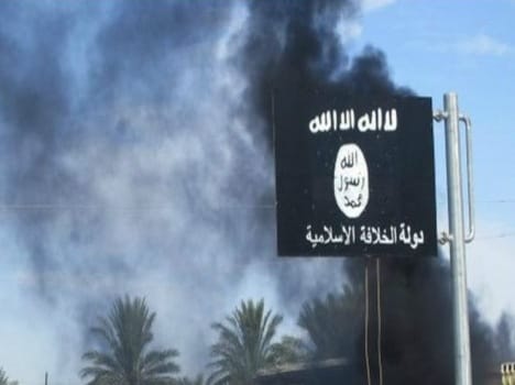 IS  fall army fighter plane in syria