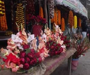 You will be shocked to hear the Delhi assembly cost of flowers