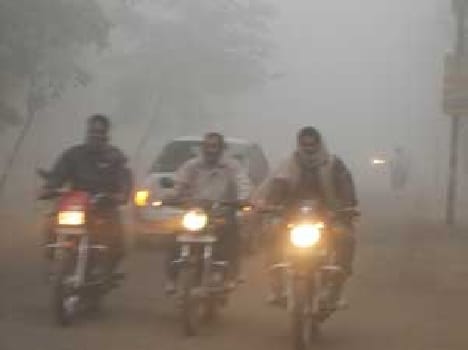 Severe cold , fog making trouble