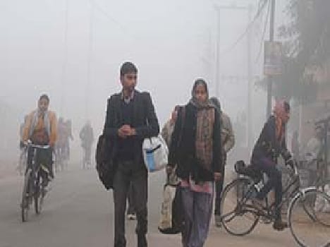 Cold wave claimed four more lives