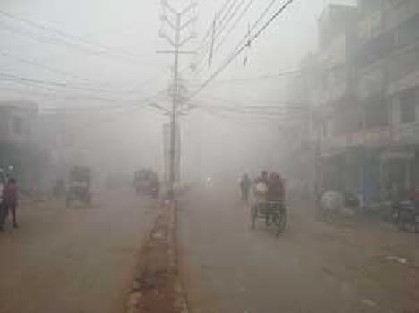 cold Affected the life