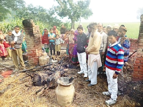 Woman injured six animals died in a fire in two houses