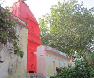 priest of temple molested on issue of loudspeaker, rampage